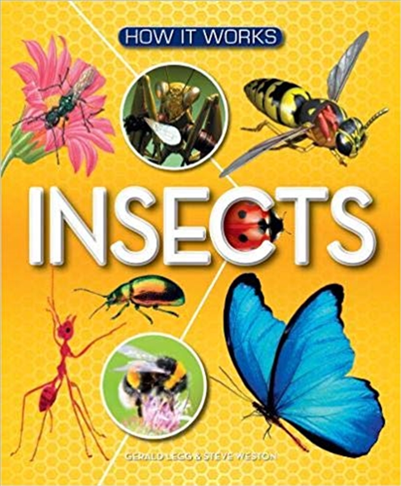 How It Works: Insects/Product Detail/Childrens