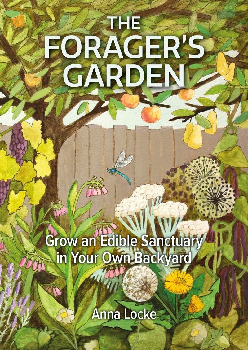 Forager's Garden: Grow an Edible Sanctuary in your own Backyard/Product Detail/Gardening