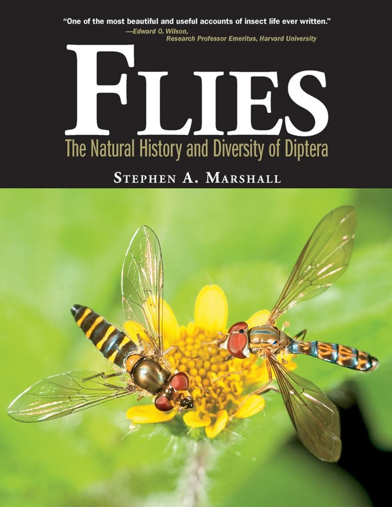 Flies: The Natural History and Diversity of Diptera/Product Detail/Animals & Nature