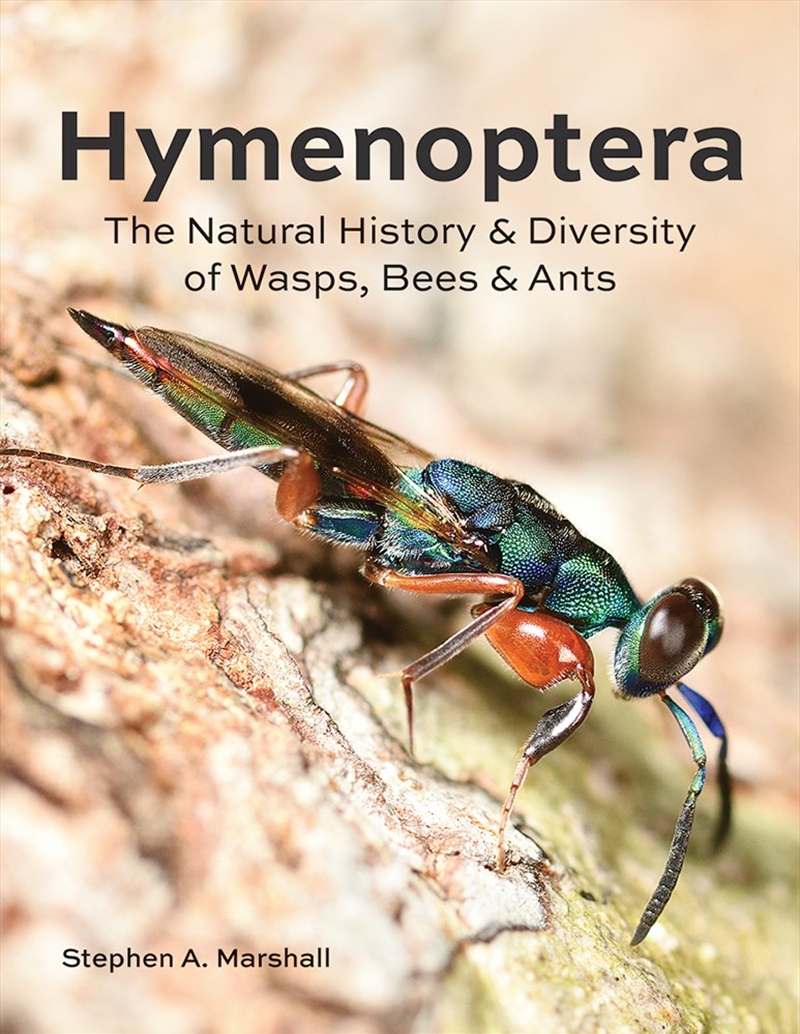 Hymenoptera: The Natural History and Diversity of Wasps, Bees and Ants/Product Detail/Animals & Nature
