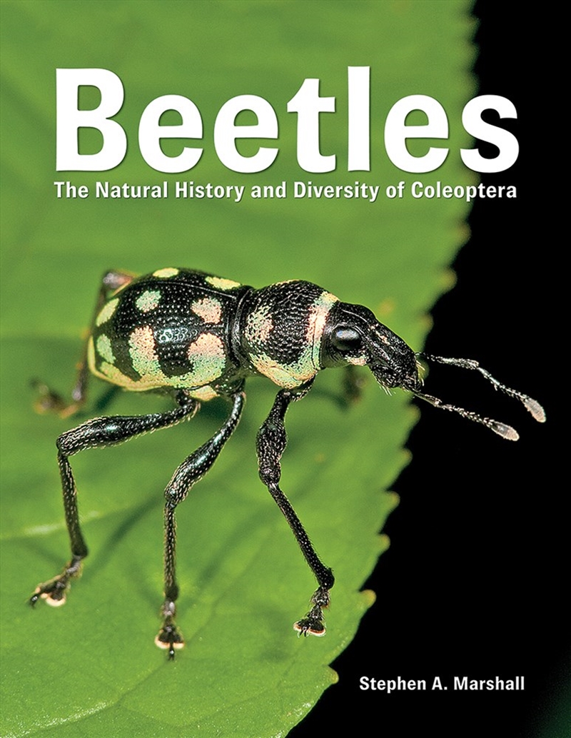 Beetles: The Natural History and Diversity of Coleoptera/Product Detail/Animals & Nature