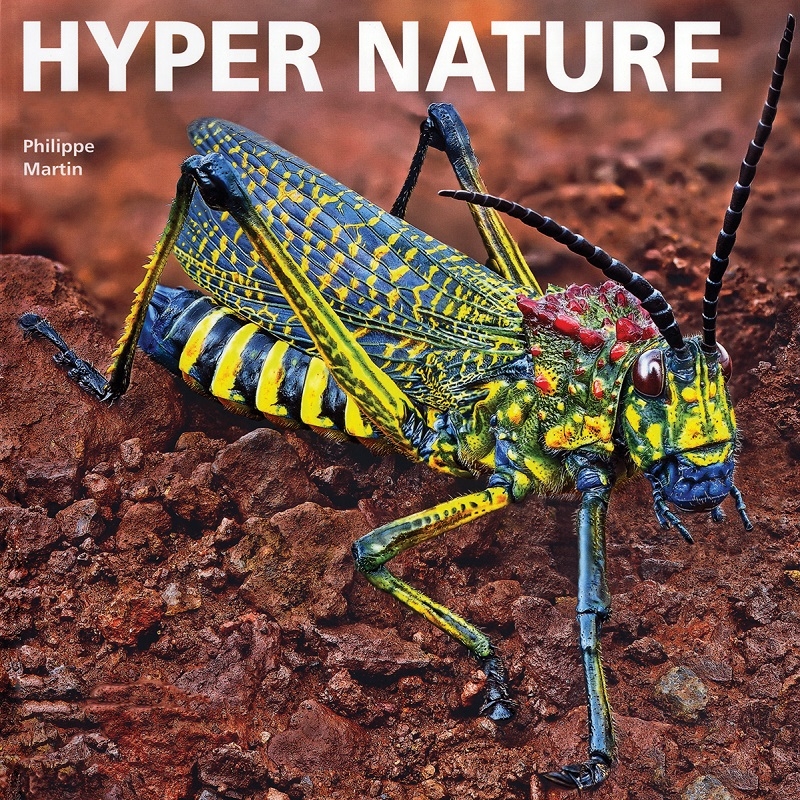 Hyper Nature/Product Detail/Animals & Nature