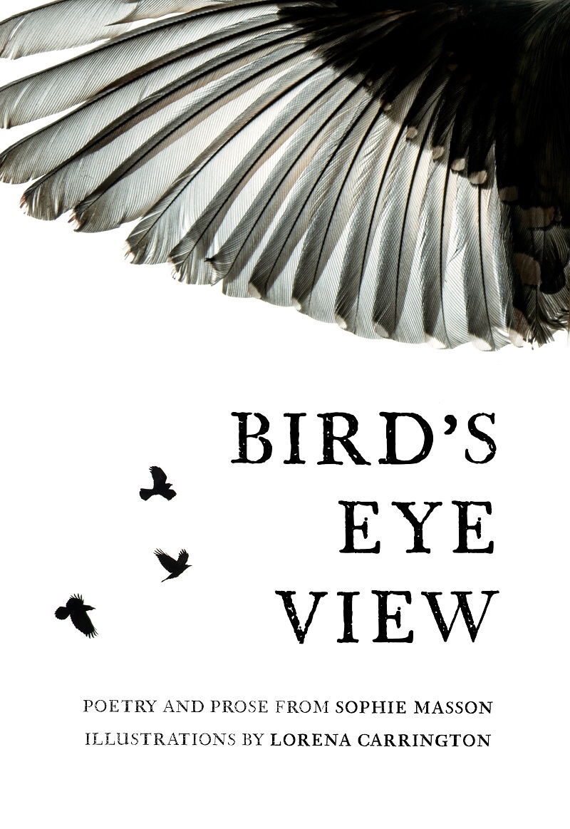 Bird's Eye View/Product Detail/Reading