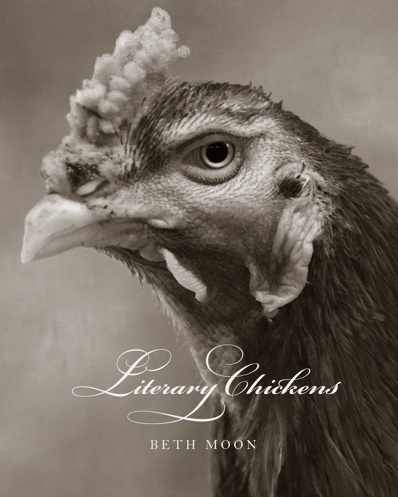 Literary Chickens/Product Detail/Photography
