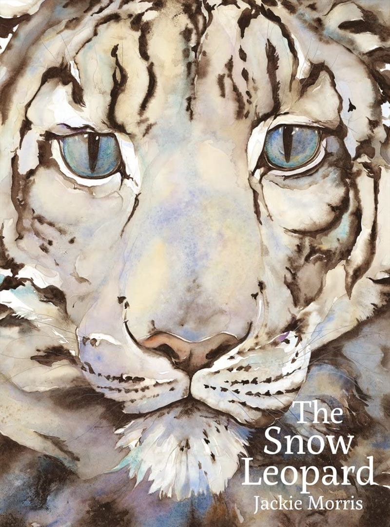 Snow Leopard/Product Detail/Early Childhood Fiction Books
