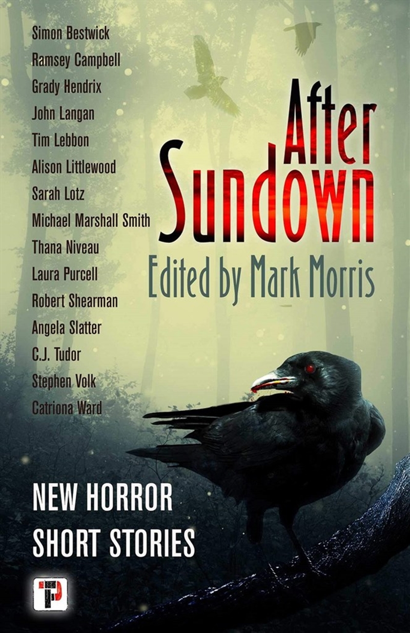 After Sundown: New Horror Short Stories/Product Detail/Fantasy Fiction