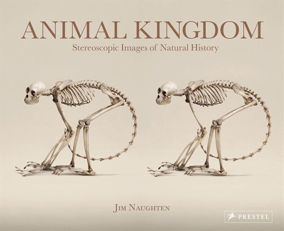 Animal Kingdom/Product Detail/Art