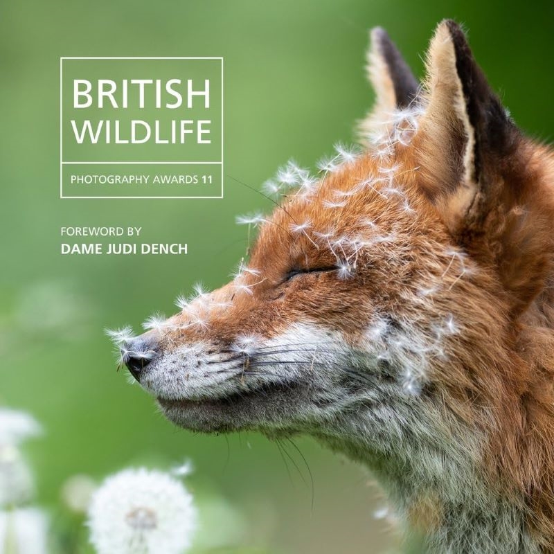 British Wildlife Photography Awards 2023/Product Detail/Photography