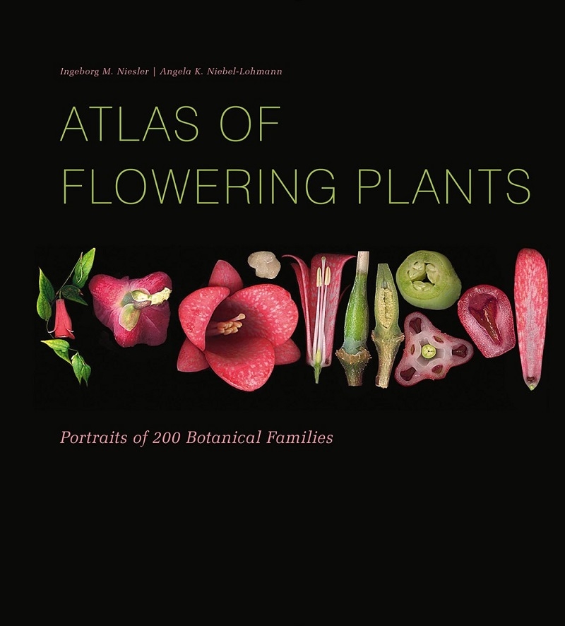Atlas of Flowering Plants: Visual Studies of 200 Deconstructed Botanical Families/Product Detail/Animals & Nature