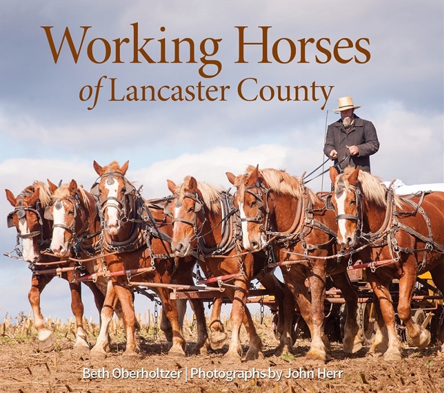 Working Horses of Lancaster County/Product Detail/Photography