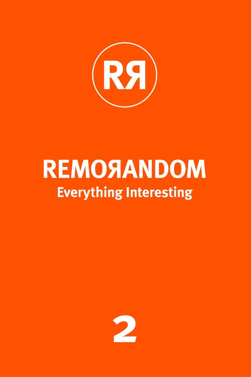 REMORANDOM, Everything Interesting 2/Product Detail/Adult Books