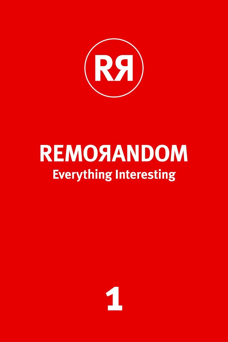 REMORANDOM, Everything Interesting 1/Product Detail/Adult Books