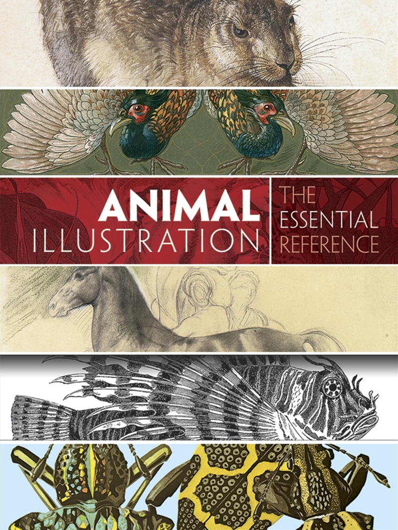 Animal Illustration: The Essential Reference/Product Detail/Art