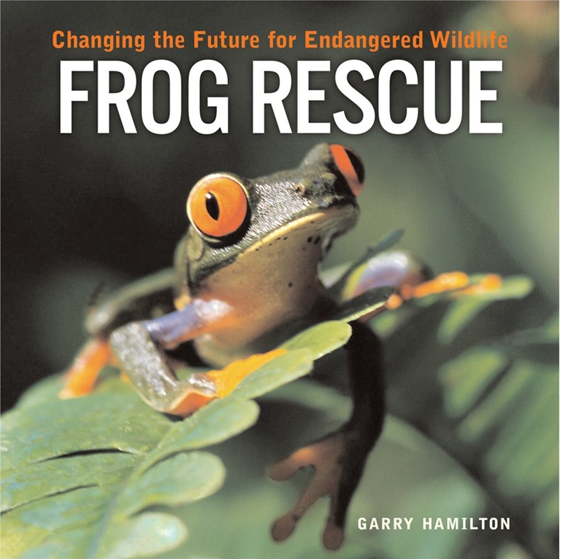 Frog Rescue/Product Detail/Childrens