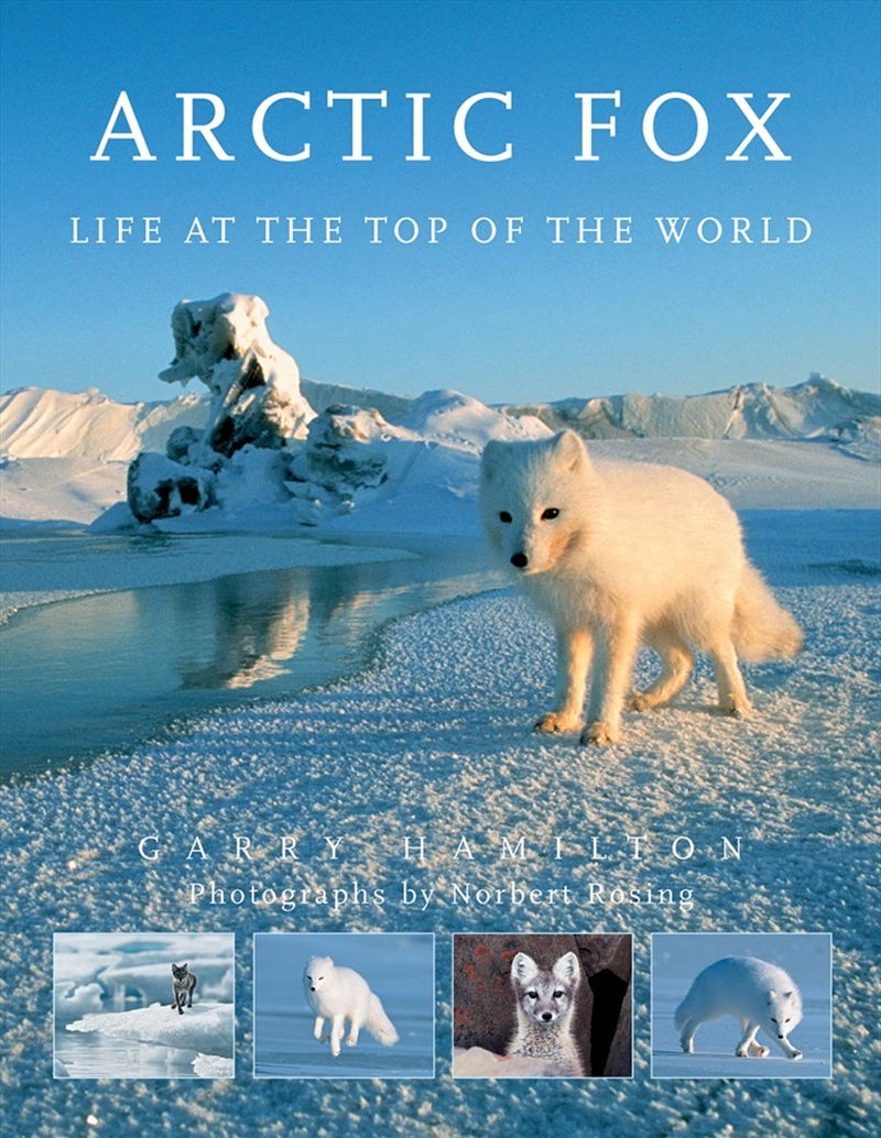 Arctic Fox: Life at the Top of the World/Product Detail/Animals & Nature