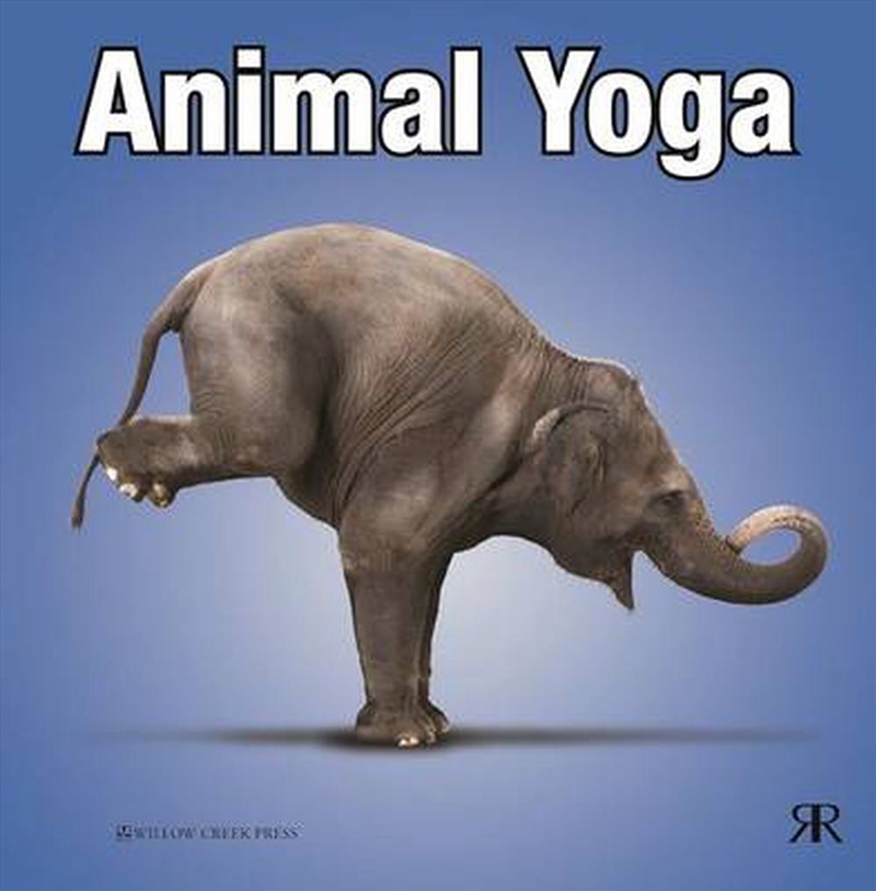 Animal Yoga/Product Detail/Comedy