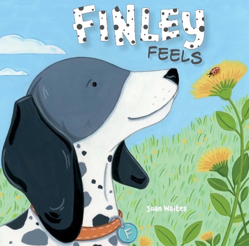 Finley Feels/Product Detail/Early Childhood Fiction Books