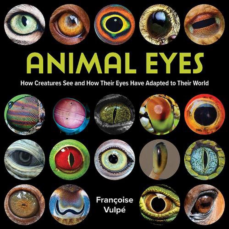 Animal Eyes - How Creatures See and How Their Eyes Have Adapted to Their World/Product Detail/Childrens