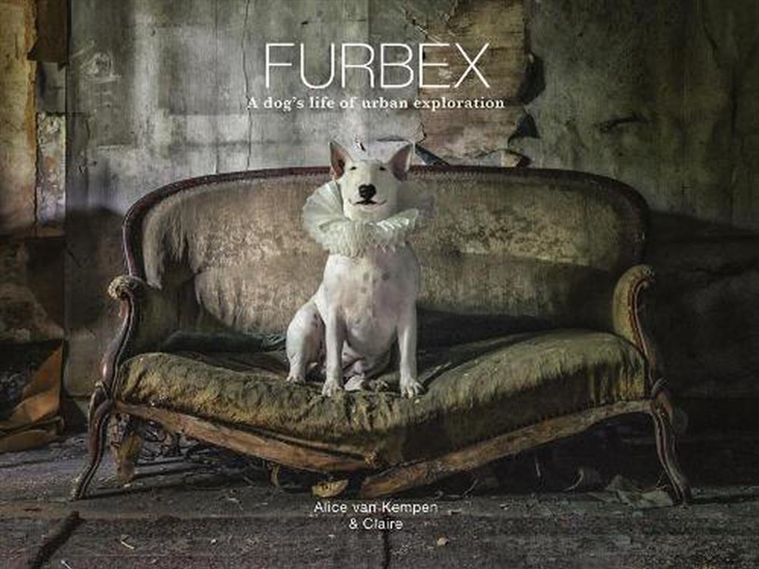 Furbex - A Dog's Life of Urban Exploration/Product Detail/Photography