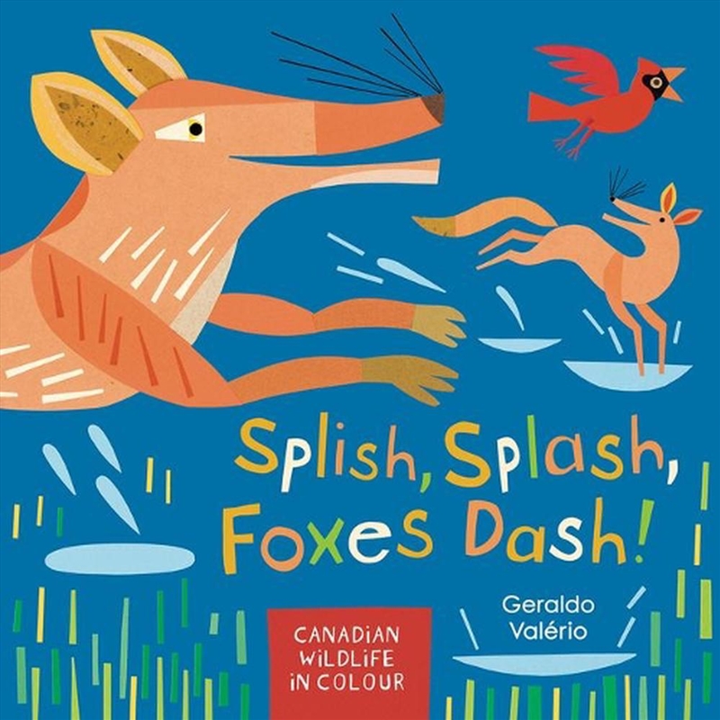 Splish, Splash, Foxes Dash!/Product Detail/Early Childhood Fiction Books
