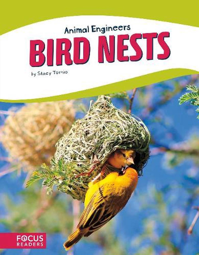 Animal Engineers - Birds Nests/Product Detail/Childrens
