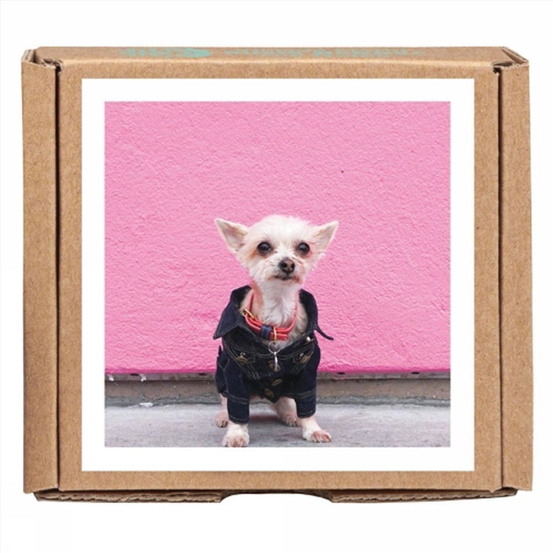 Ella Bean the Dog - GreenGift-Notes/Product Detail/Stationery