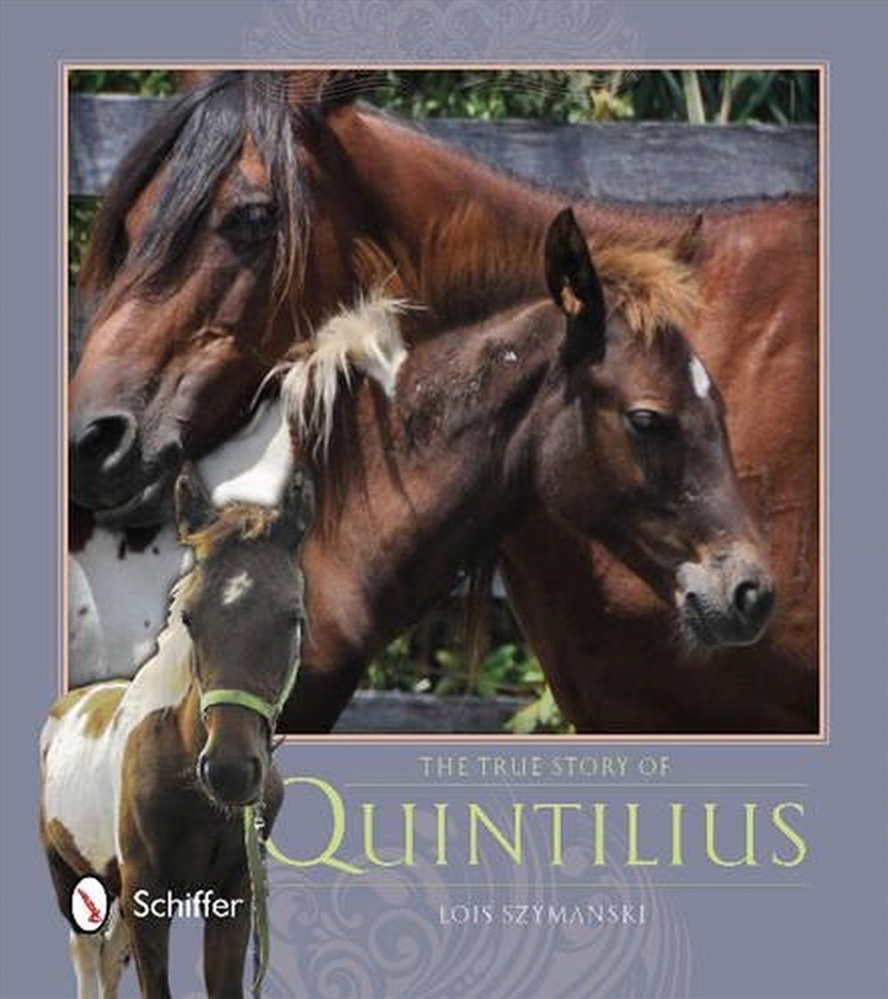 True Story of Quintilius/Product Detail/Early Childhood Fiction Books