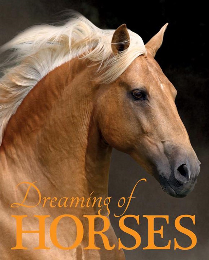 Dreaming of Horses/Product Detail/Childrens