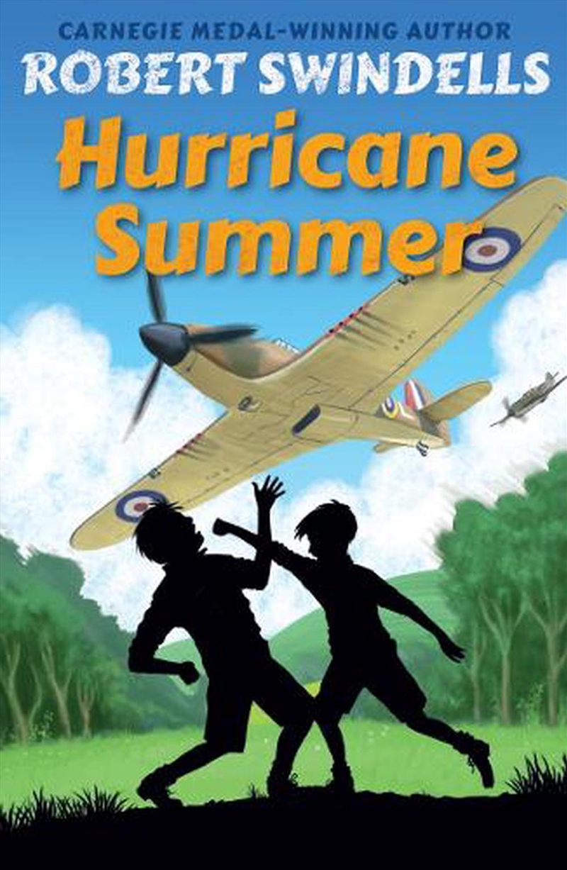Hurricane Summer/Product Detail/Childrens Fiction Books