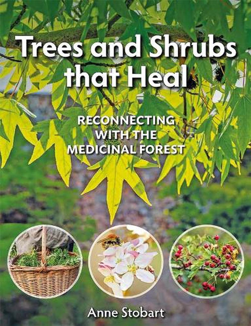 Trees and Shrubs that Heal - Reconnecting With The Medicinal Forest/Product Detail/Family & Health