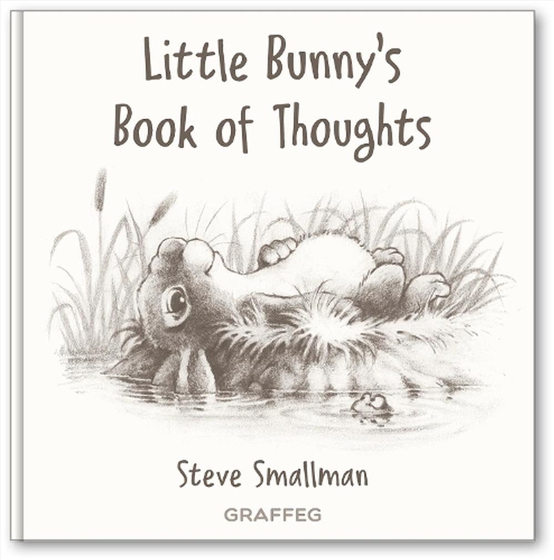 Little Bunny's Book of Thoughts/Product Detail/Early Childhood Fiction Books