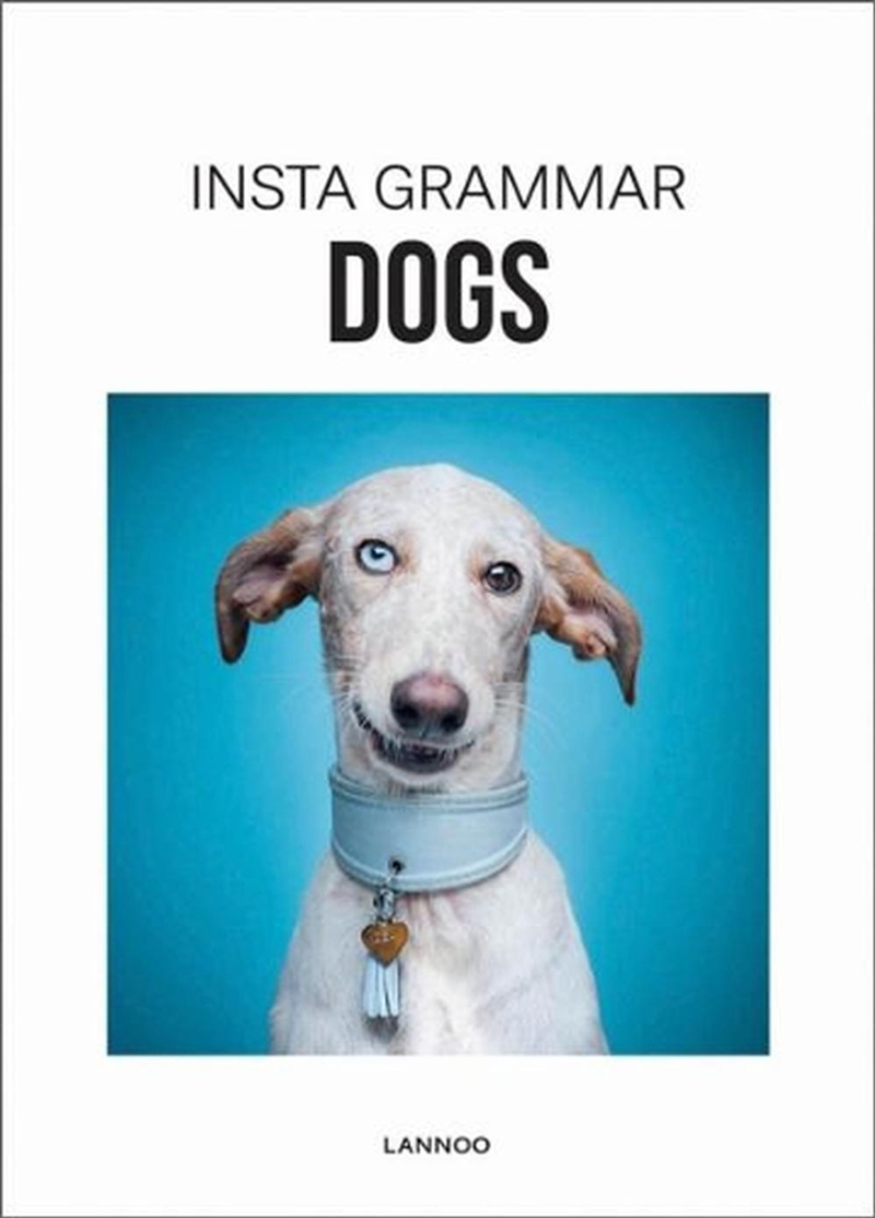 Insta Grammar Dogs/Product Detail/Photography