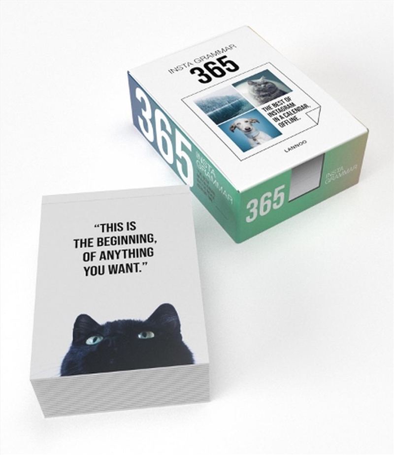 Insta Grammar 365 Calendar/Product Detail/Calendars & Diaries
