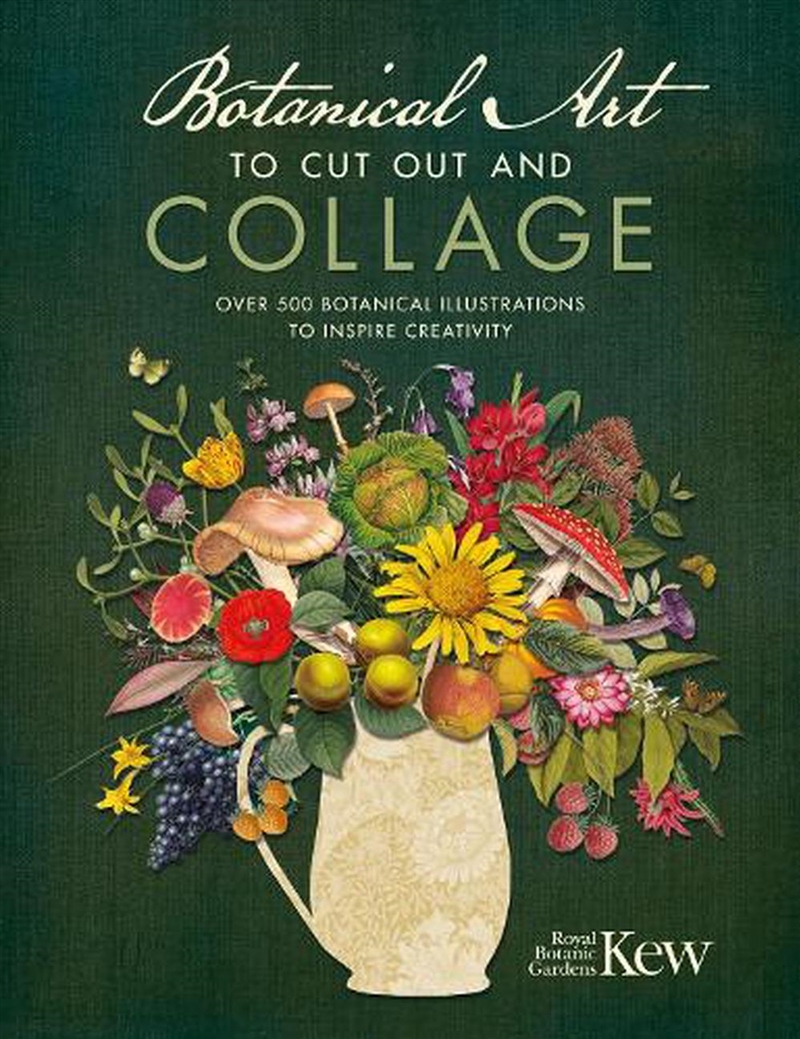 Botanical Art to Cut Out and Collage - Over 500 Botanical Art Images to Inspire Creativity/Product Detail/Crafts & Handiwork