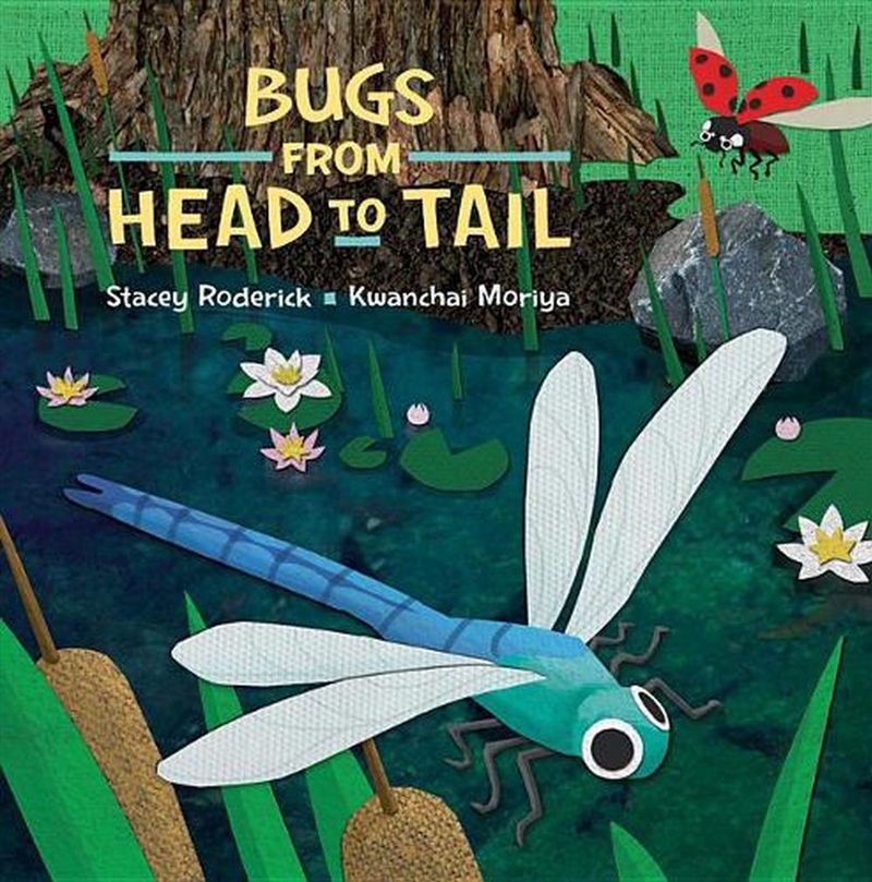 Bugs From Head to Tail/Product Detail/Childrens