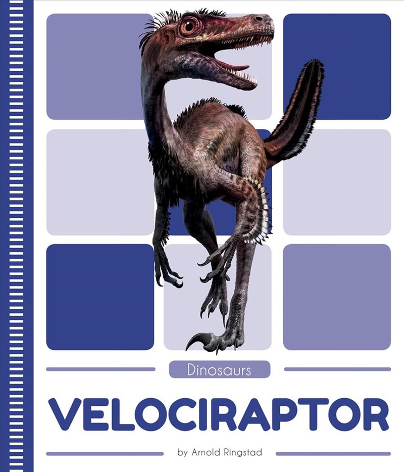 Dinosaurs - Velociraptor/Product Detail/Childrens