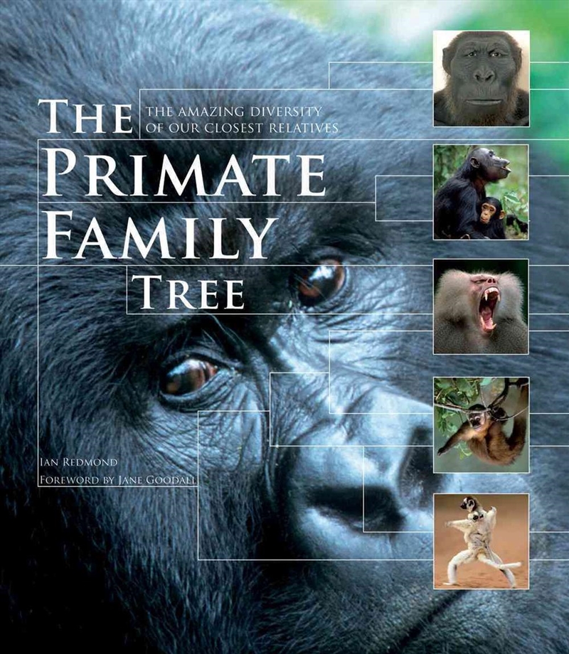 Primate Family Tree - The Amazing Diversity of Our Closest Relatives/Product Detail/Animals & Nature
