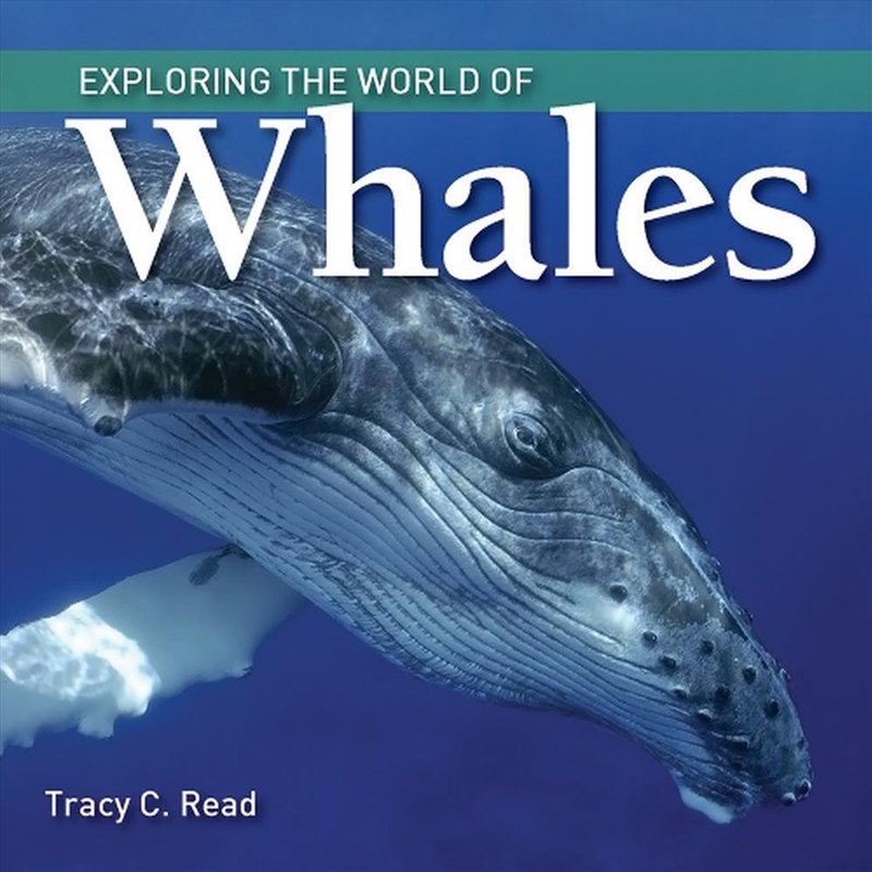 Exploring the World of Whales/Product Detail/Childrens