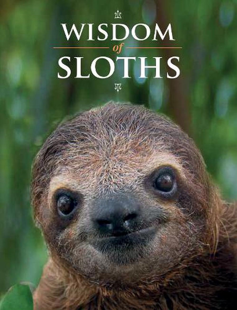 Wisdom of Sloths/Product Detail/Reading