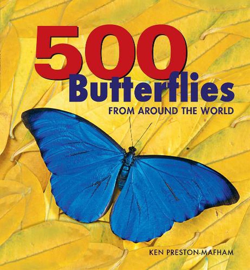 500 Butterflies - From around the World/Product Detail/Animals & Nature