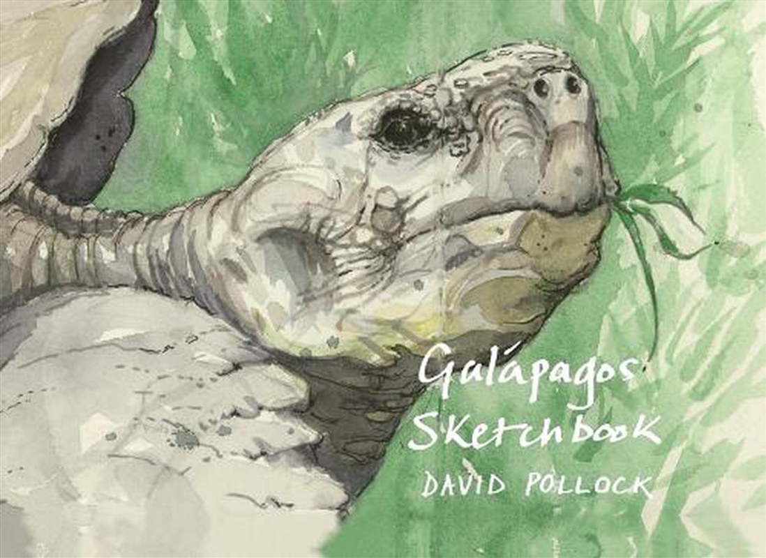 Galapagos Sketchbook/Product Detail/Art