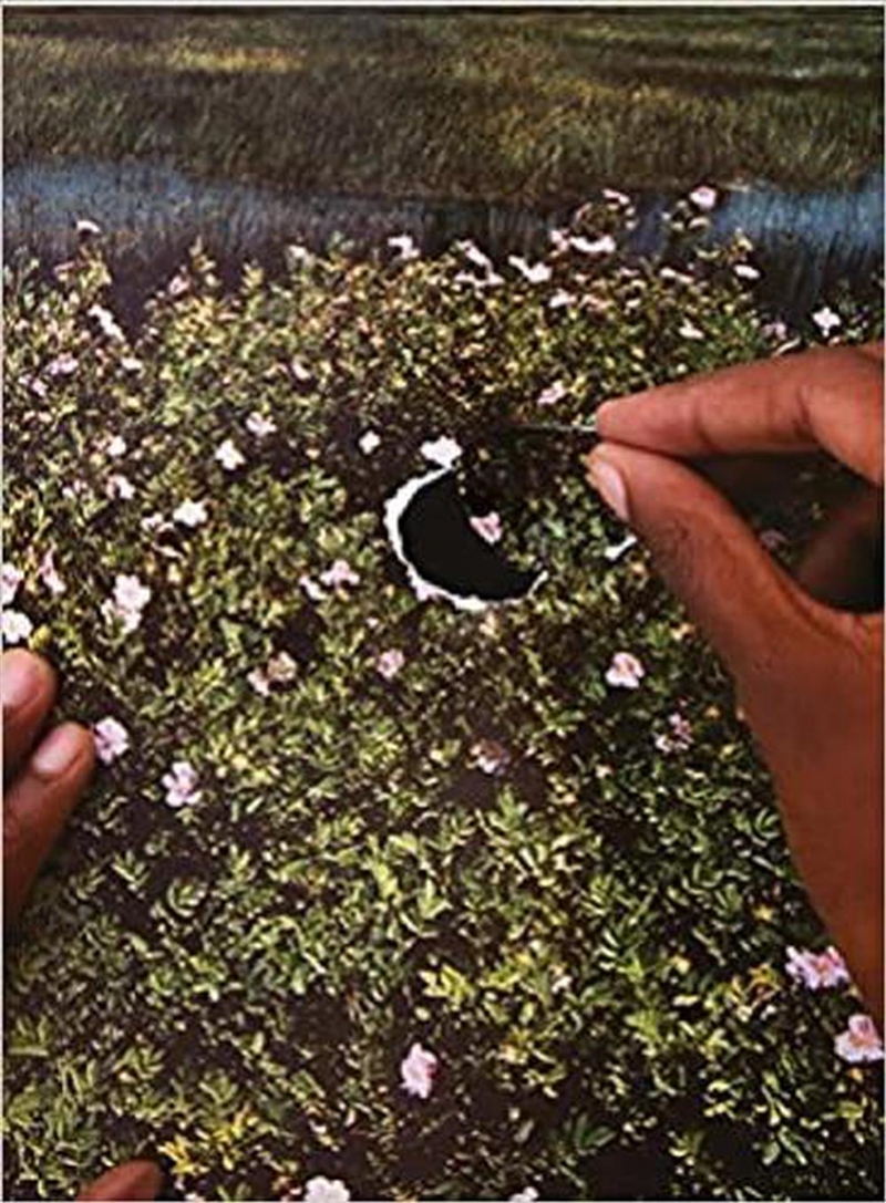 RE/SISTERS - A Lens on Gender and Ecology/Product Detail/Reading