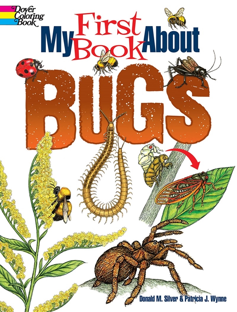 My First Book About Bugs/Product Detail/Childrens