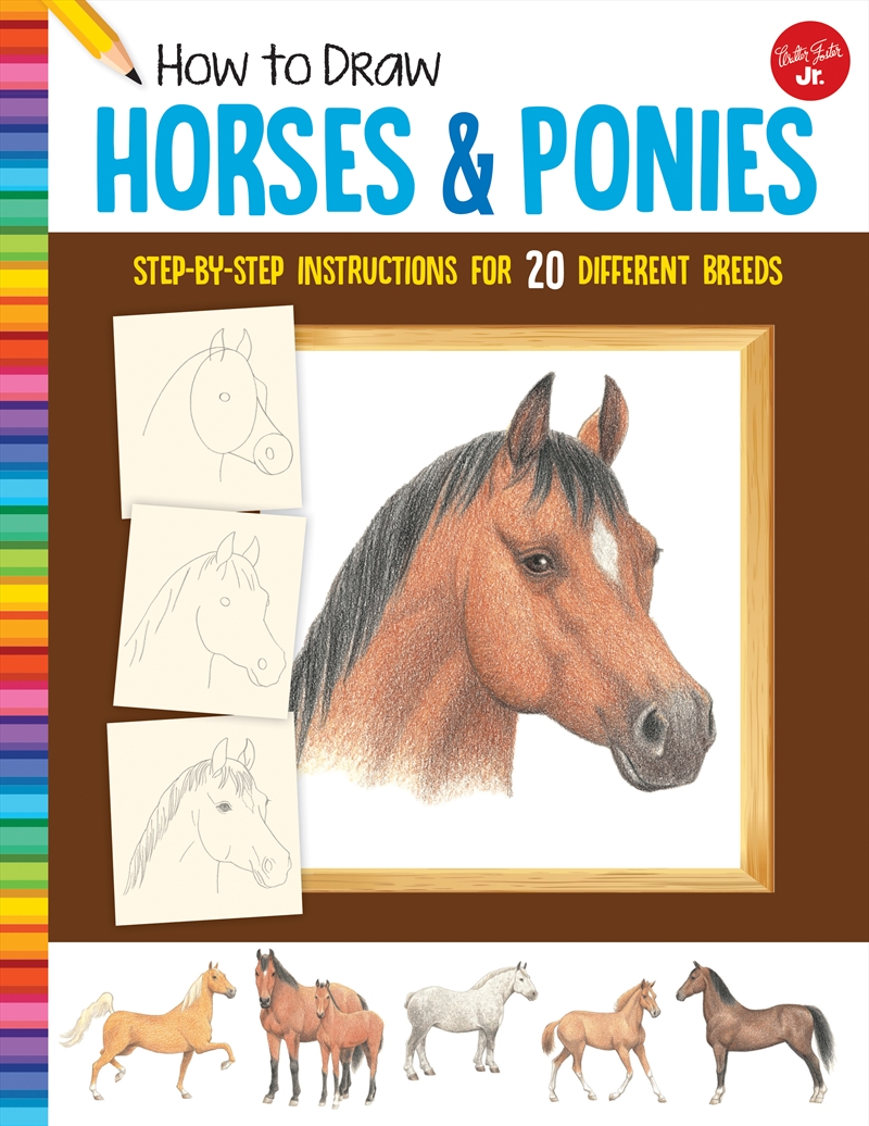 Horses & Ponies (Learn to Draw)/Product Detail/Childrens