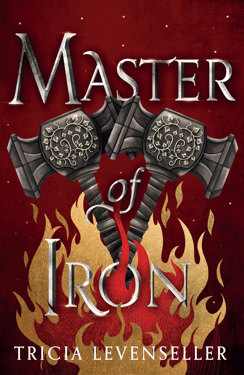 Master of Iron/Product Detail/Childrens Fiction Books