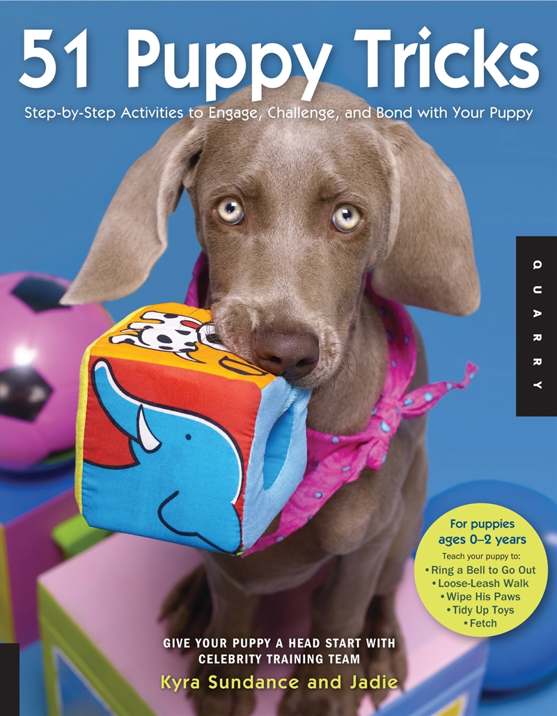 51 Puppy Tricks/Product Detail/Crafts & Handiwork
