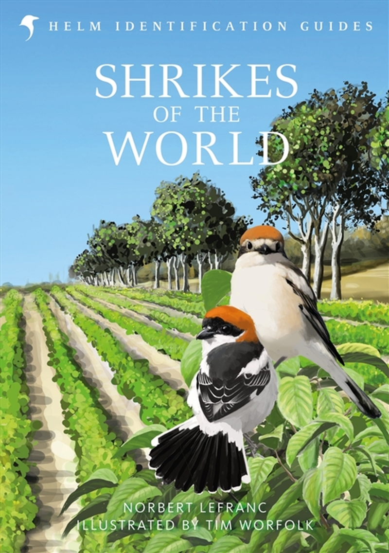 Shrikes Of The World/Product Detail/Animals & Nature