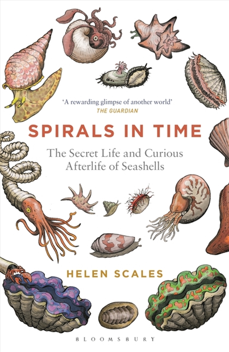 Spirals In Time: The Secret Life And Curious Afterlife Of Seashells/Product Detail/History