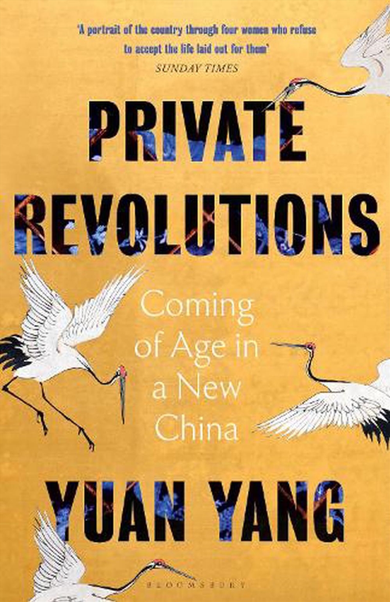 Private Revolutions: Coming Of Age In A New China/Product Detail/History