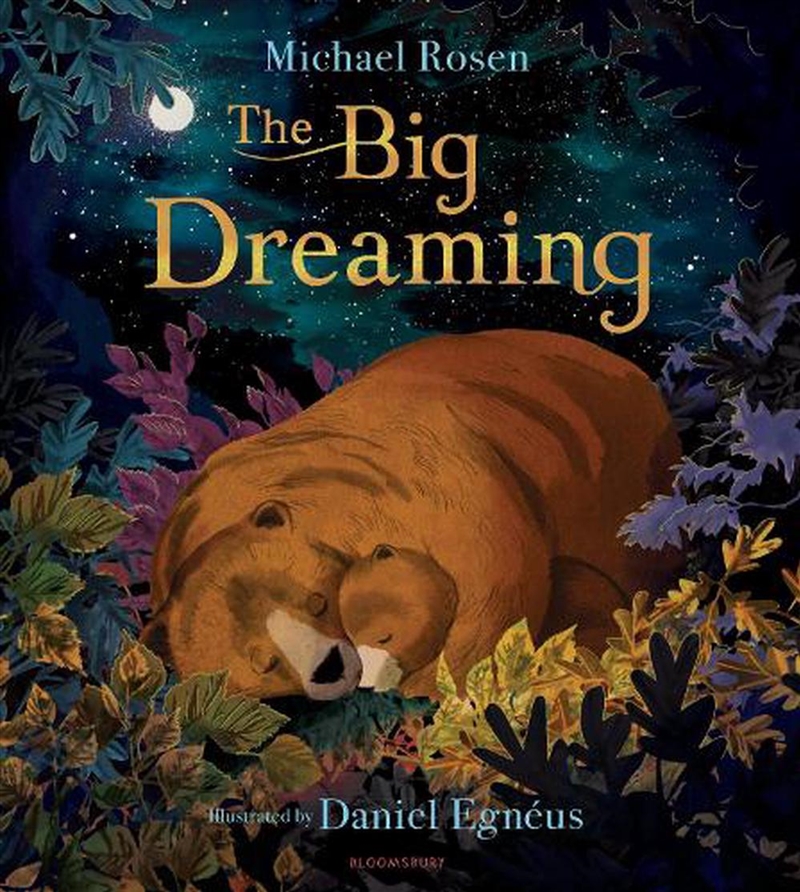 The Big Dreaming/Product Detail/Early Childhood Fiction Books